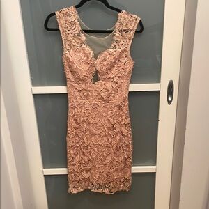 Soieblu Pink Rose Gold Bodycon Dress Plunge Neckline Sleeveless
